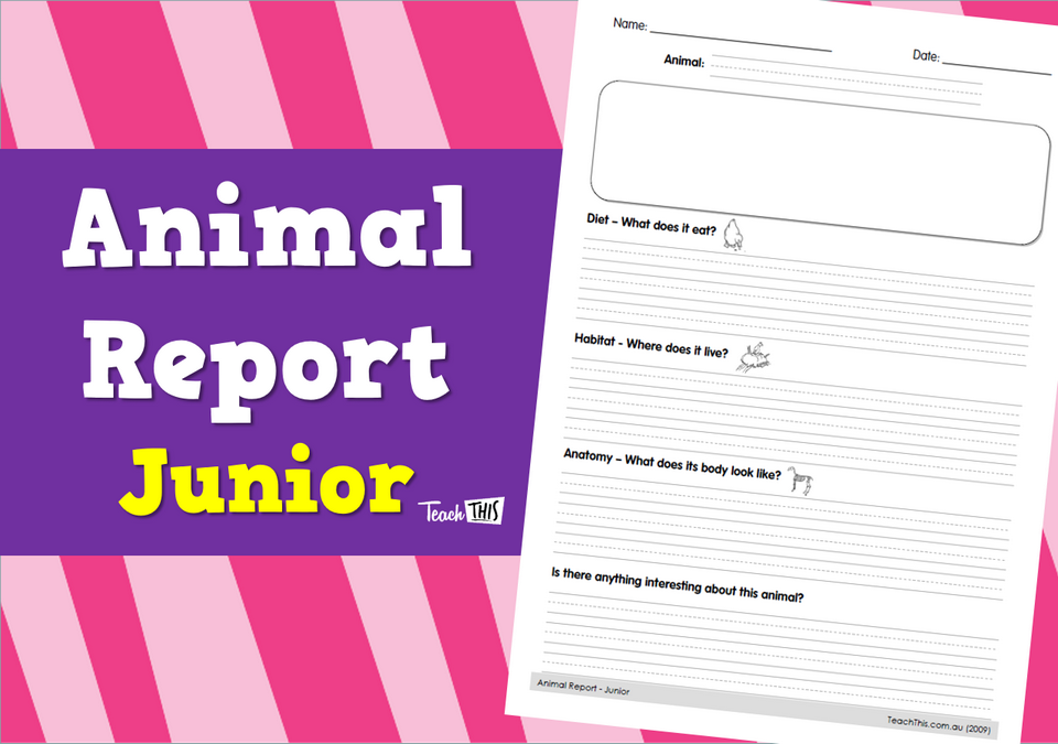 Animal Report - Junior