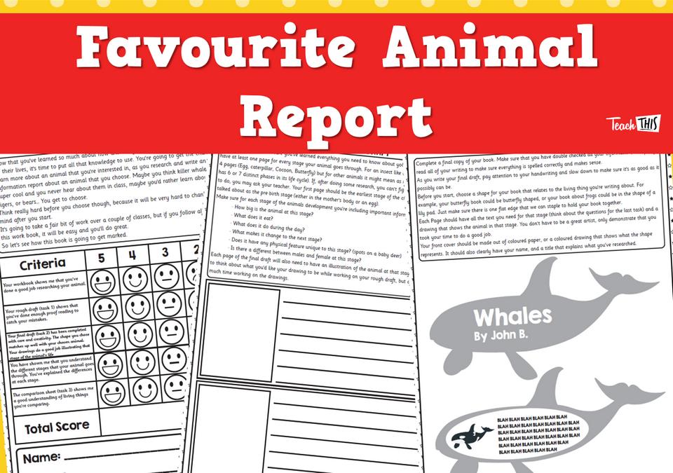 Favourite Animal Report Assessment