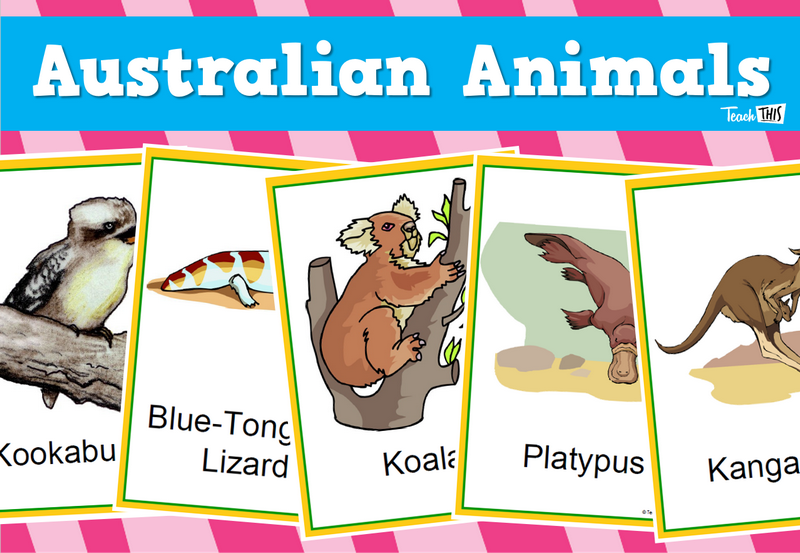 Australian Animals - 21 cards