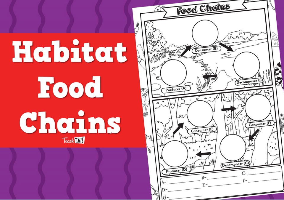 Habitat Food Chains - Worksheet