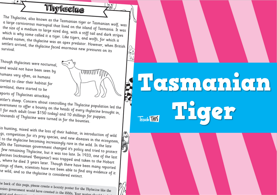 Tasmanian Tiger - Worksheet