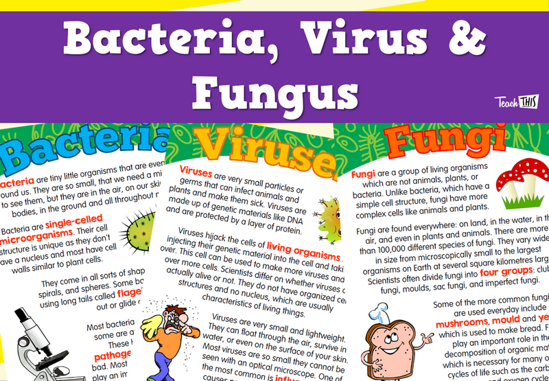 Bacteria Virus Fungus Posters