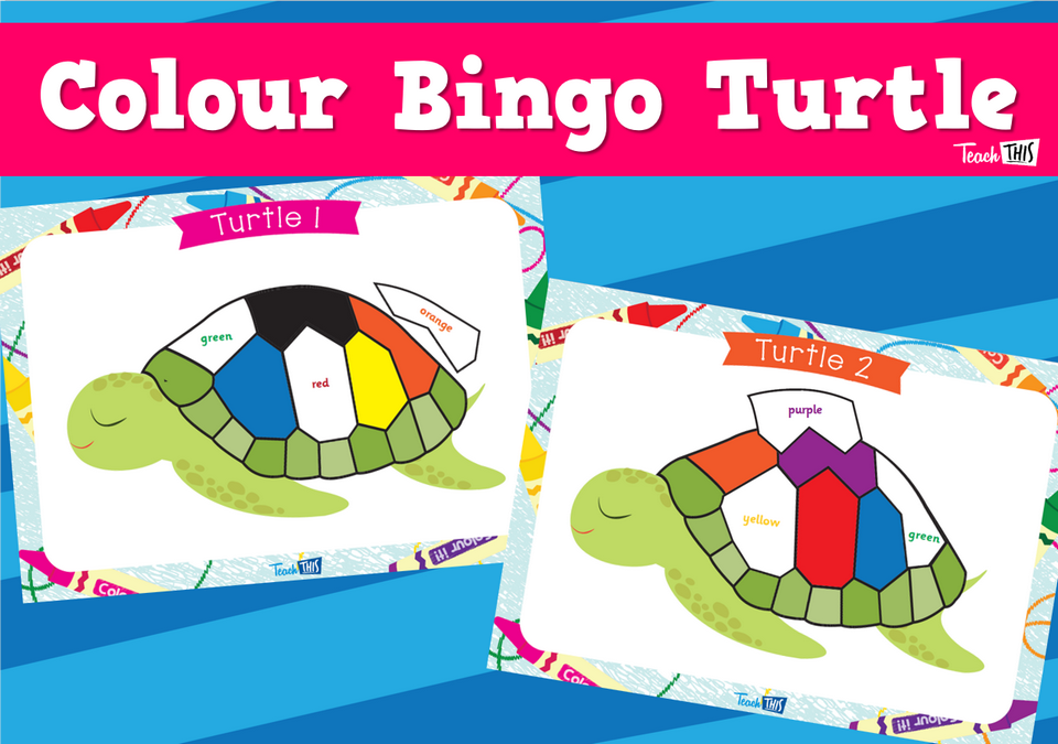 Colour Bingo Turtle