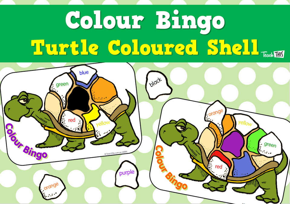 Colour Bingo - Turtle Coloured Shell