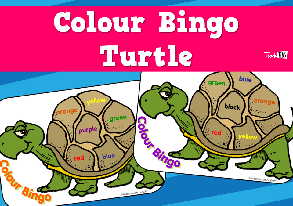 Colour Bingo - Turtle