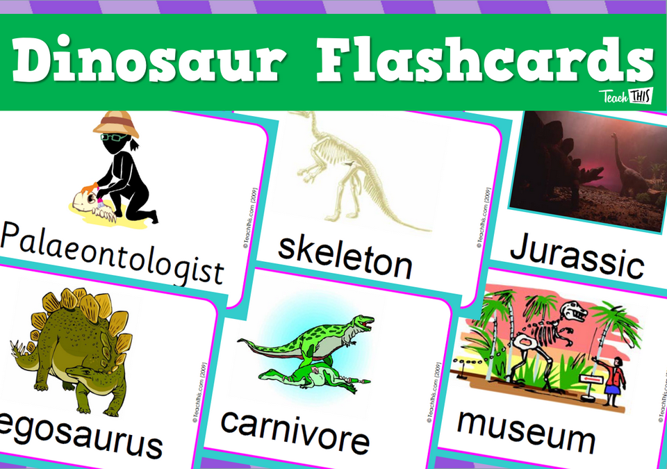 Dinosaur Flashcards