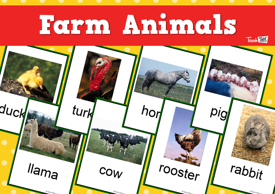 Farm Animals