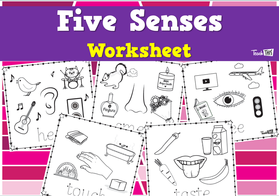 Five Senses Worksheet