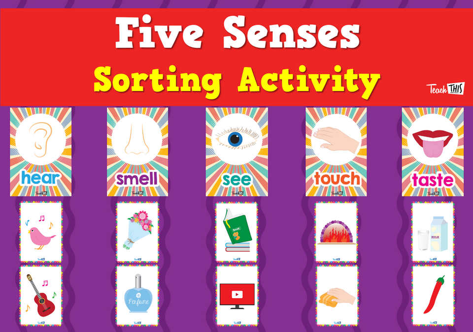 Five Senses Sorting Activity