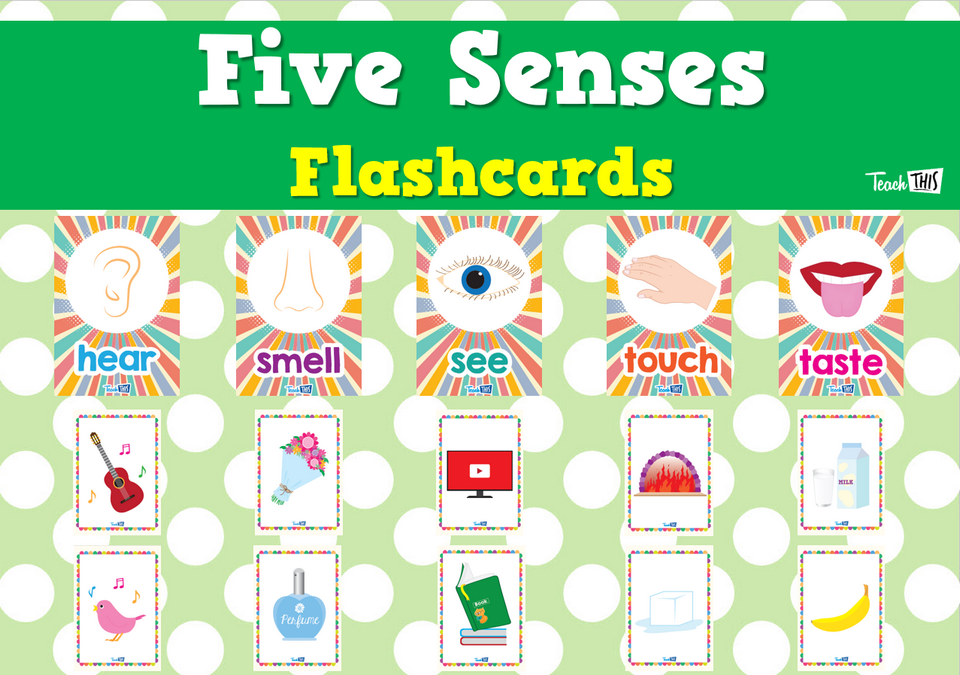 Five Senses Flashcards