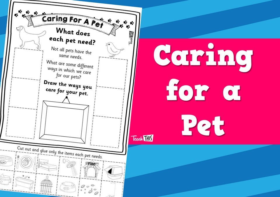 Caring for a Pet - Worksheet