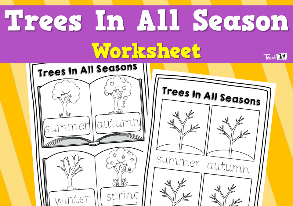Trees In All Season - Worksheet