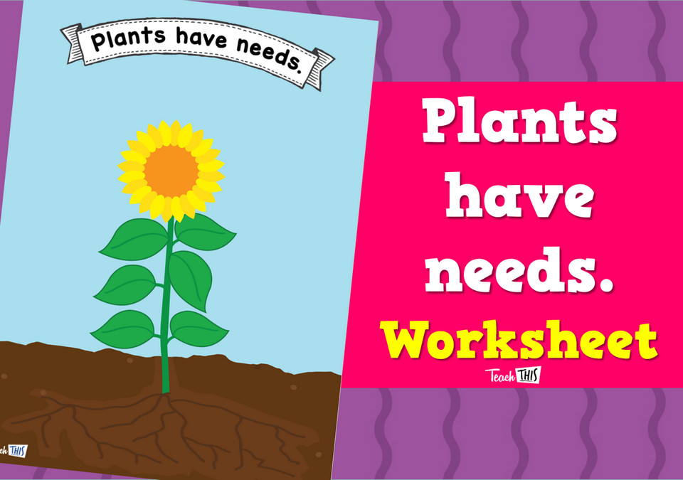 Plants have Needs - Worksheet