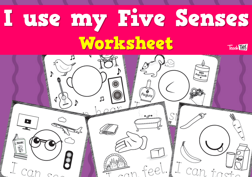 Five Senses Worksheet