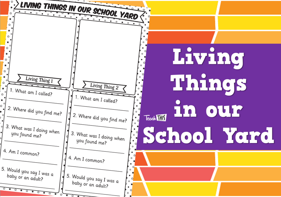 Living Things in our School Yard - Worksheet