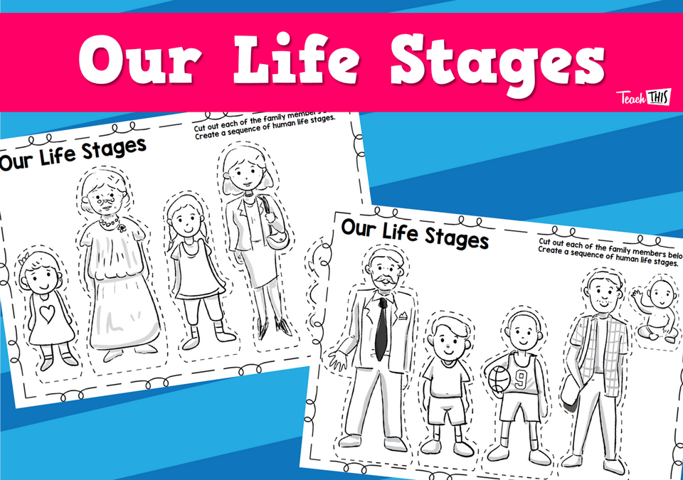 Human Life Stages - Worksheet
