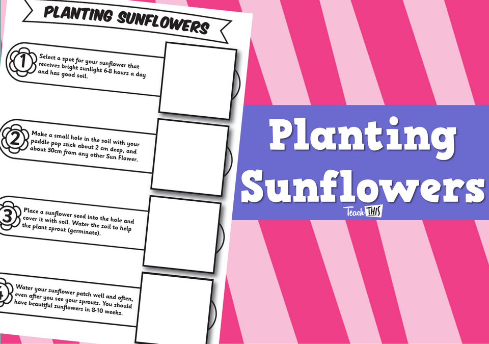 Planting Sunflowers - Worksheet