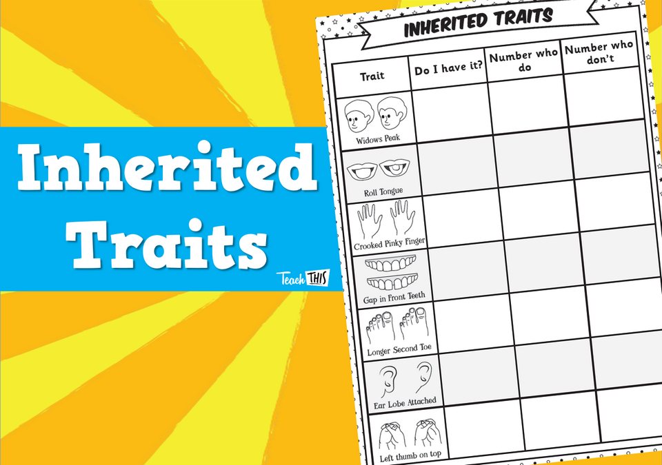 Inherited Traits - Worksheet