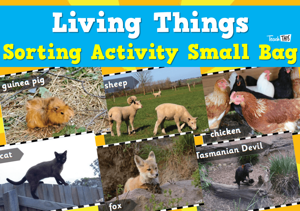 Living Things Sorting Activity - Small Bag Cards
