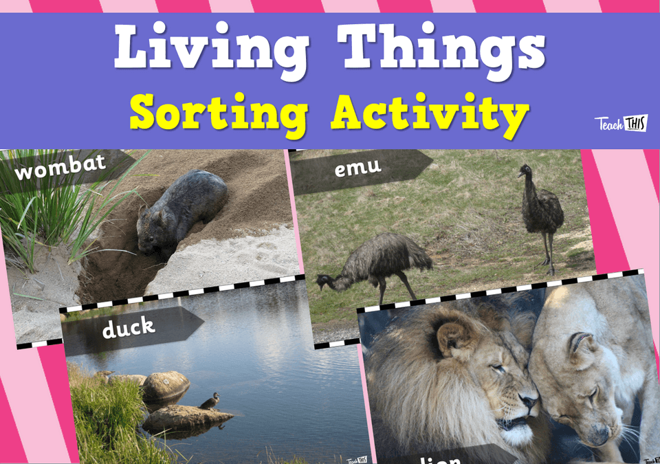 Living Things Sorting Activity