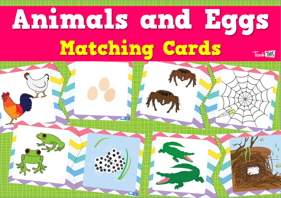 Animals and Eggs - Matching Cards