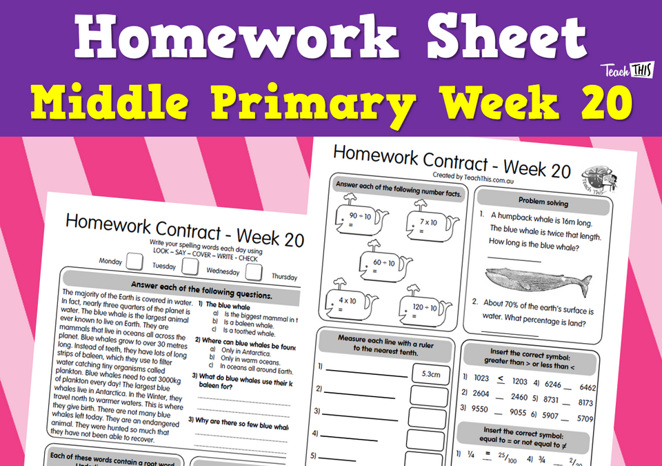 Middle Week 20