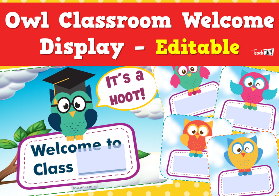 Owl Classroom Welcome Display - Editable