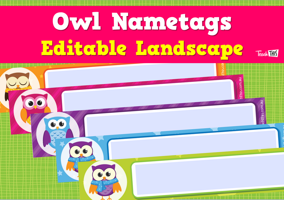 Owl Nametags Editable - Landscape