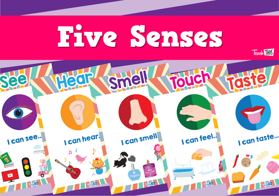 Five Senses - Classroom Display