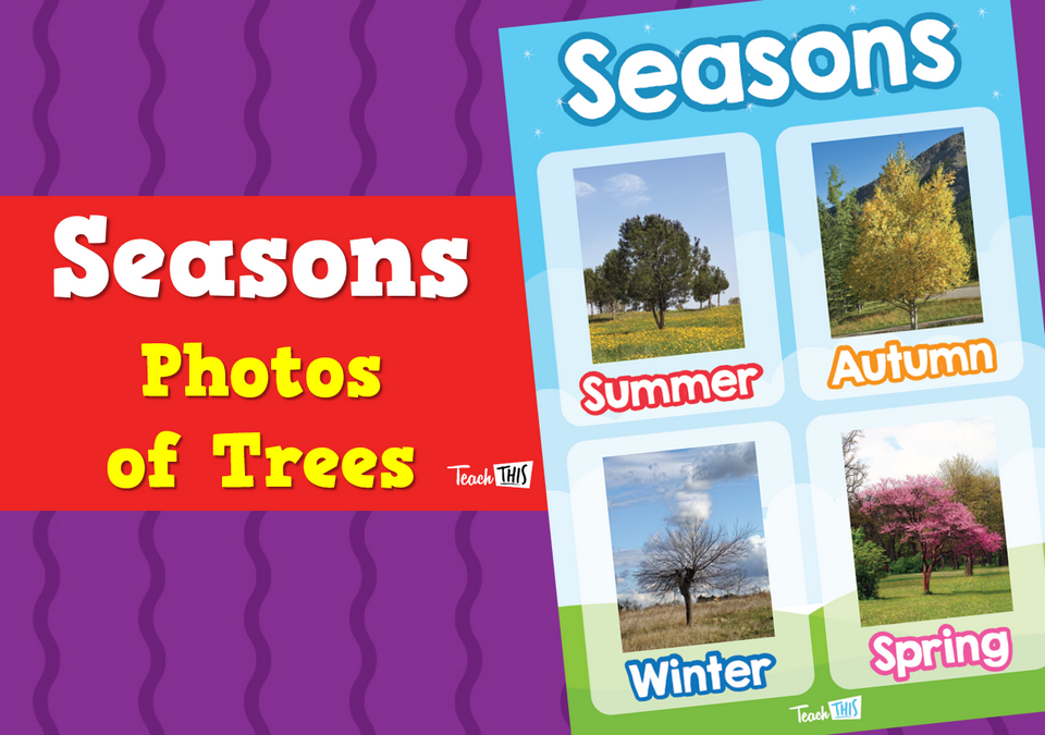 Seasons Photos of Trees