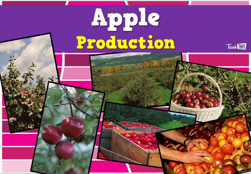 Produce - Apples