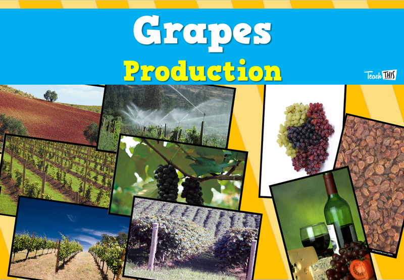 Produce - Grapes