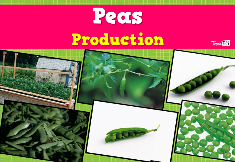 Produce - Peas