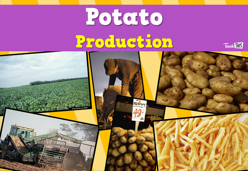 Produce - Potatoes