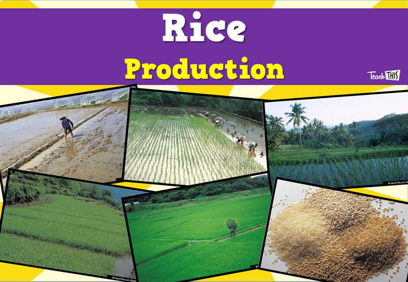 Produce - Rice