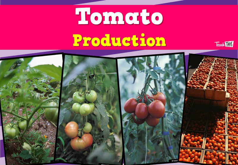 Produce - Tomato