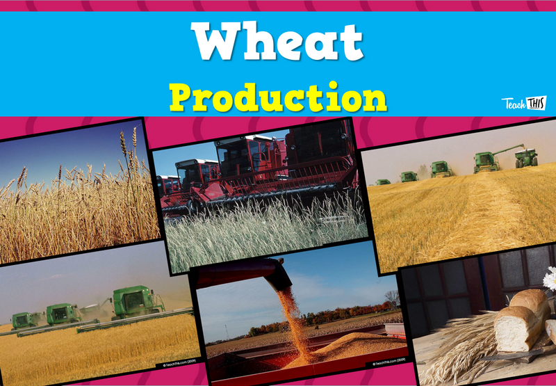 Produce - Wheat