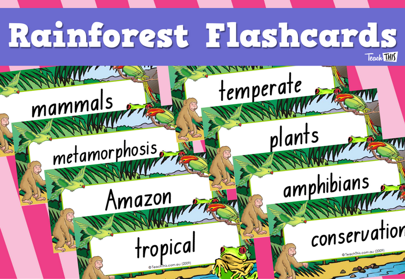 Rainforest Flashcards