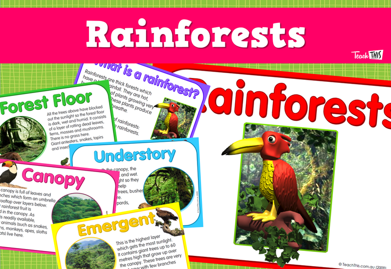 Rainforests