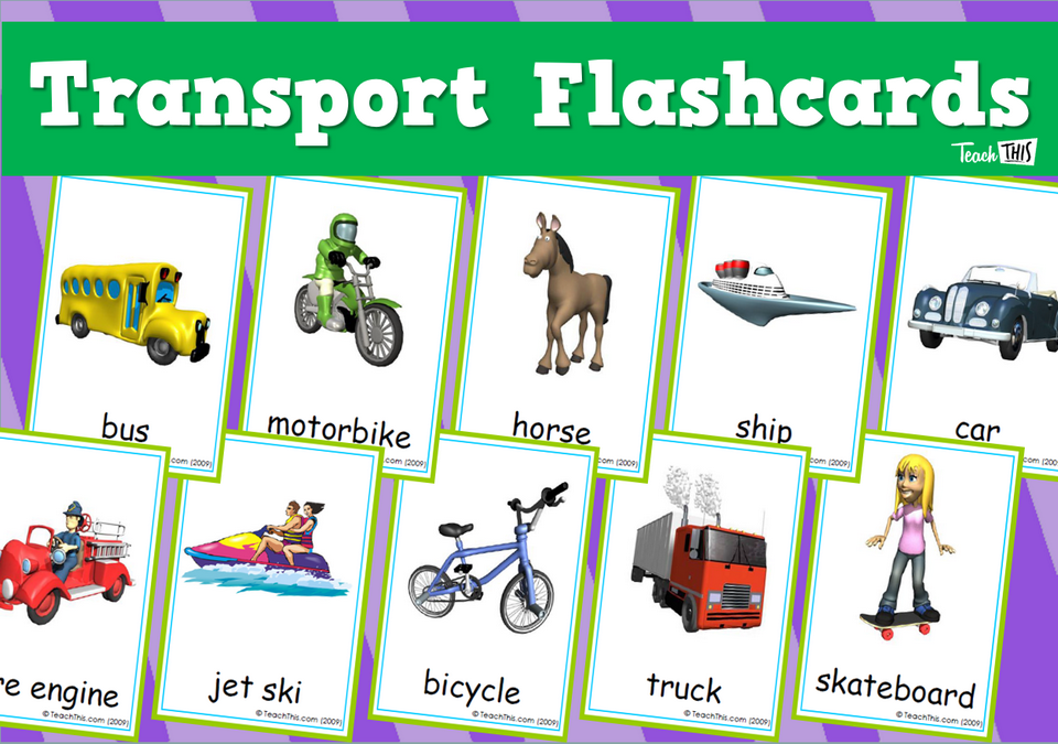 Transport Flashcards
