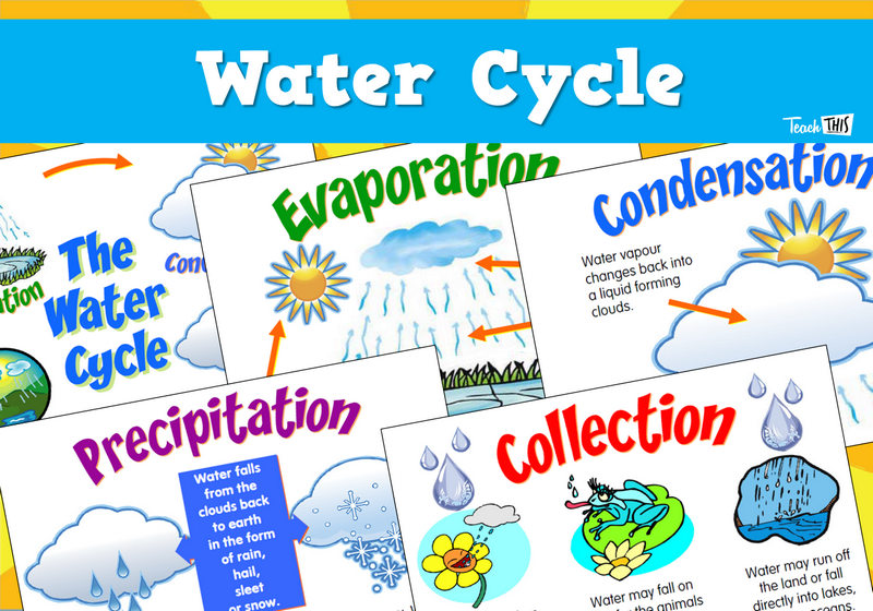 Water Cycle