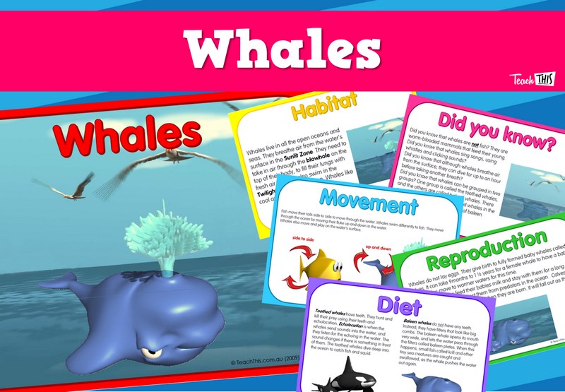Whales