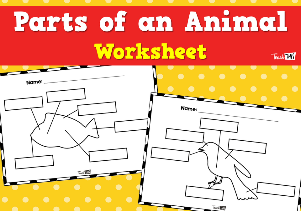 Parts of an Animal - Worksheet