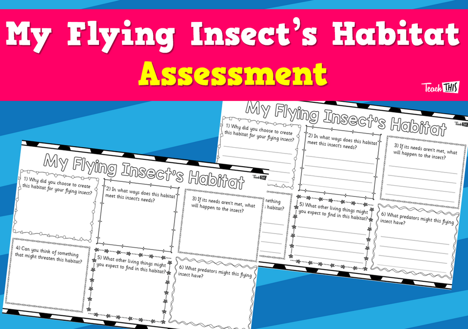 My Flying Insect's Habitat Assessment