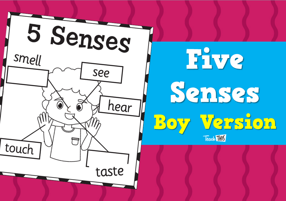 Five Senses - Boy Version