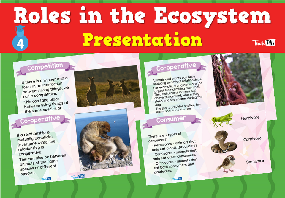 Roles in the Ecosystem - Presentation