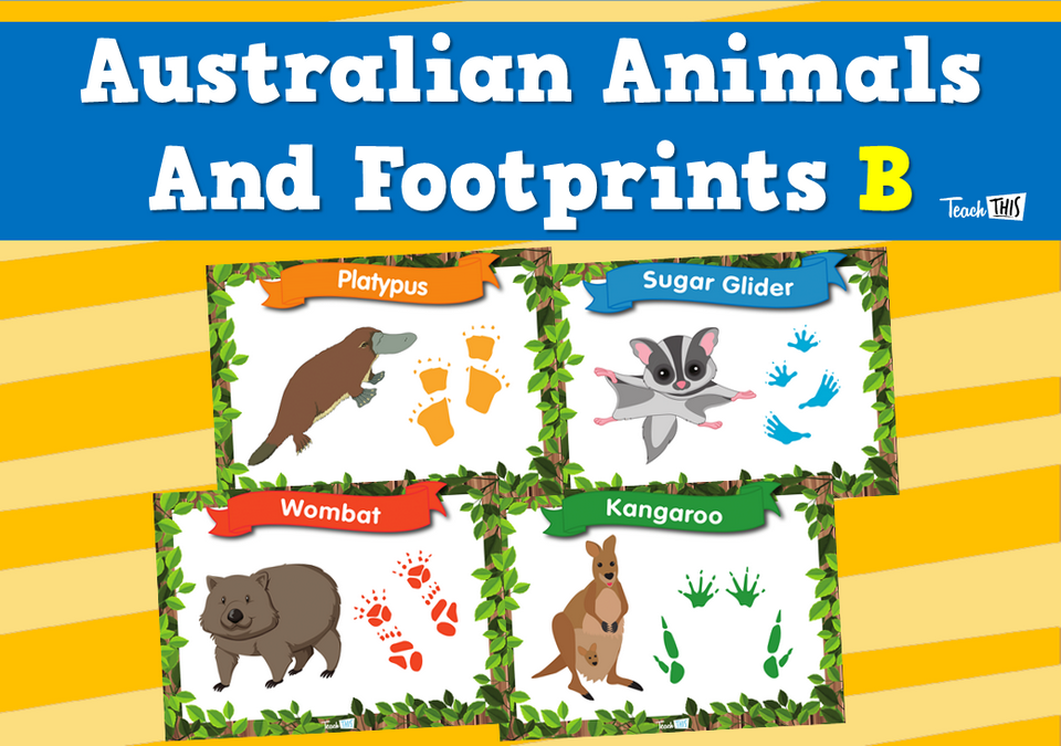 Australian Animals Footprints B