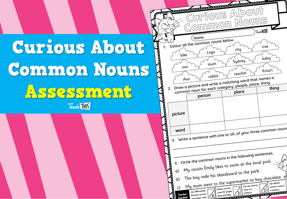 Curious About Common Nouns - Assessment