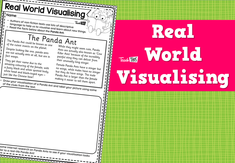 Real World Visualising