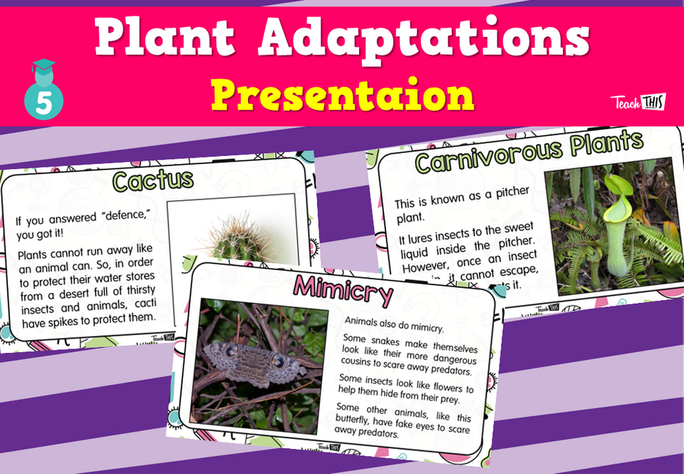 Plant Adaptations - Presentation